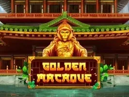 Golden Macaque